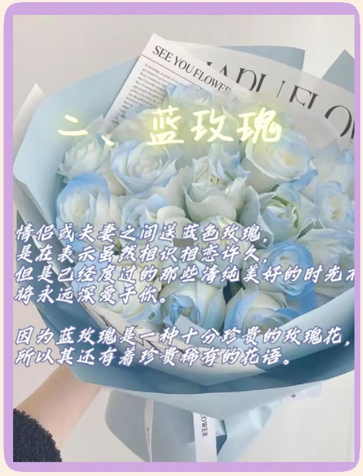 情人网，情感交流的新选择-第1张图片