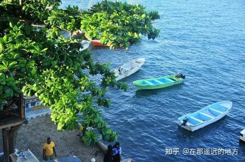 六会彩生肖开奖结果查询最新六会彩生肖开奖结果揭晓