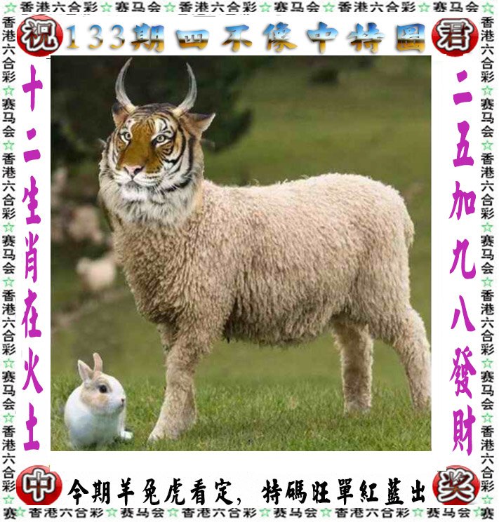 6y7ycom香港开奖结果查询探索6y7y.com，数字时代的探索之旅-第3张图片