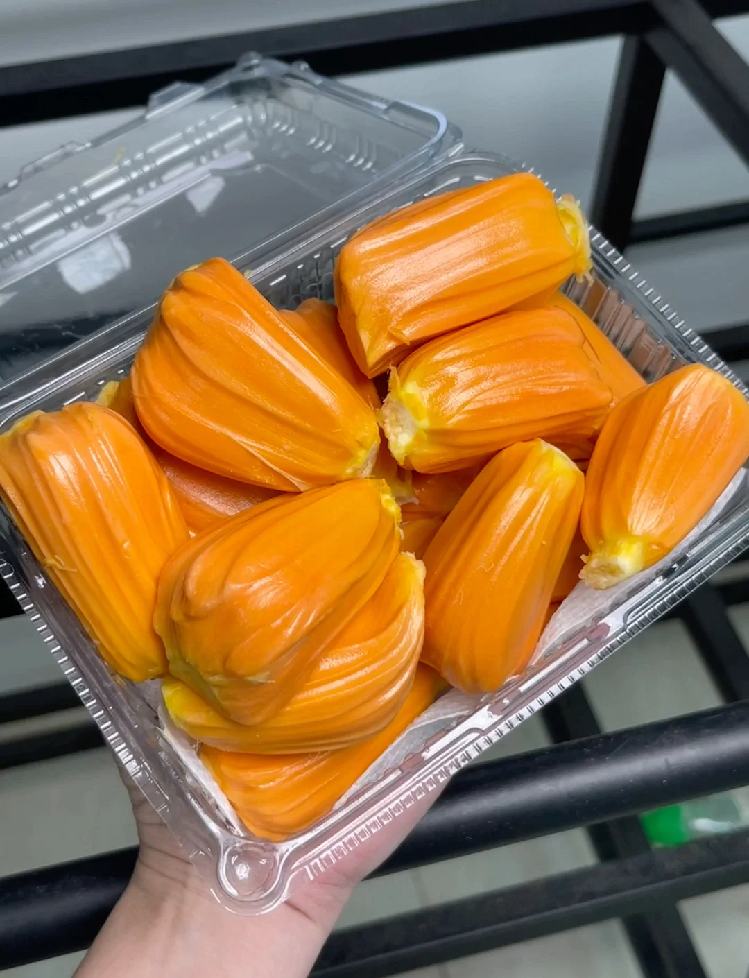 菠萝蜜一二线产区菠萝蜜一二线产区概述-第1张图片