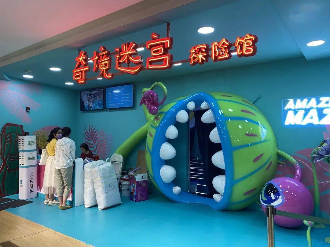 仙踪林直接入站网仙踪林直接入站网，探索网络新天地-第3张图片