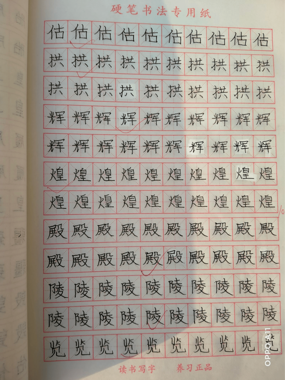 彩字网彩字网，文字的魅力与无限可能-第2张图片