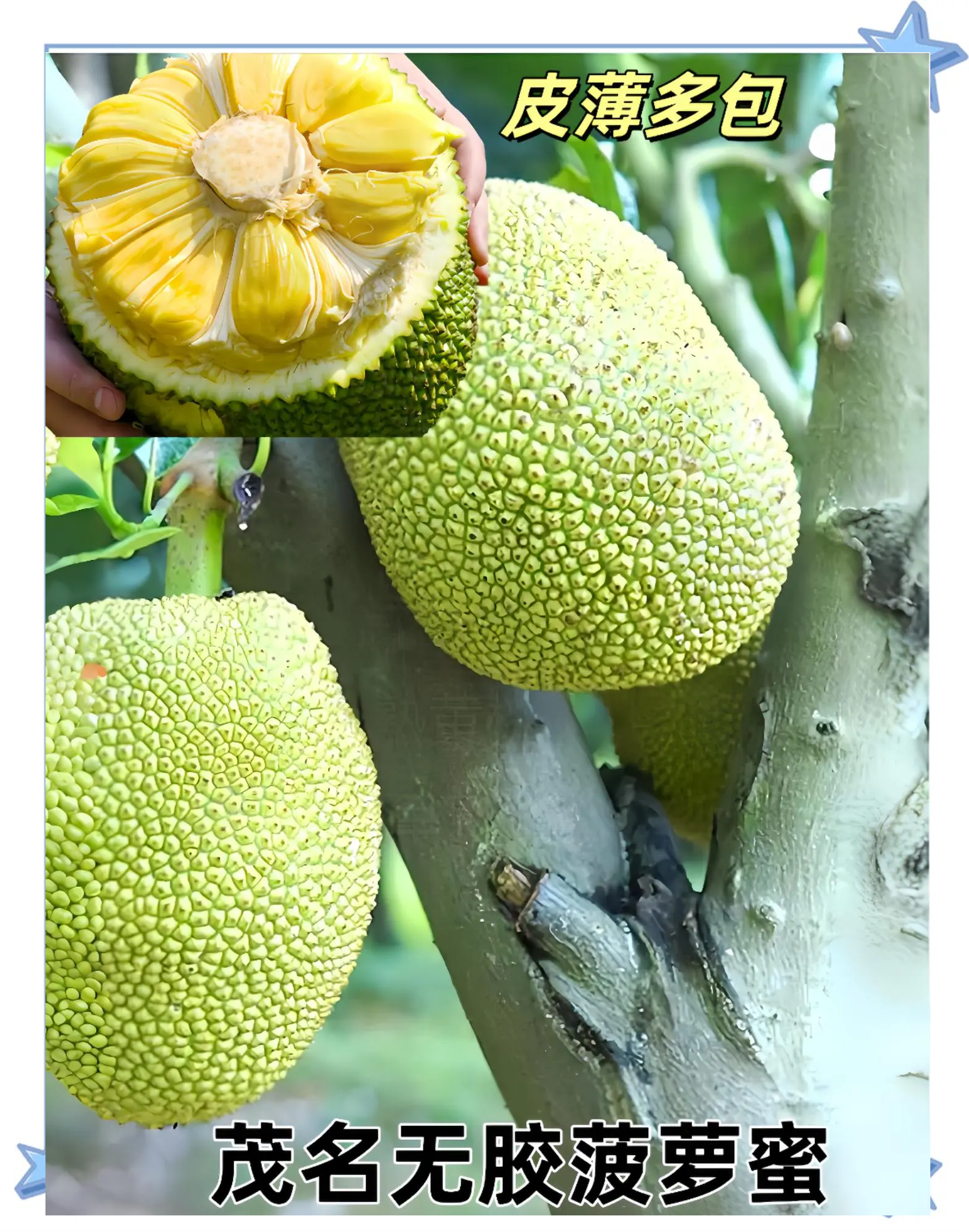 菠萝蜜视频网站app入口菠萝蜜视频网站app入口介绍-第2张图片