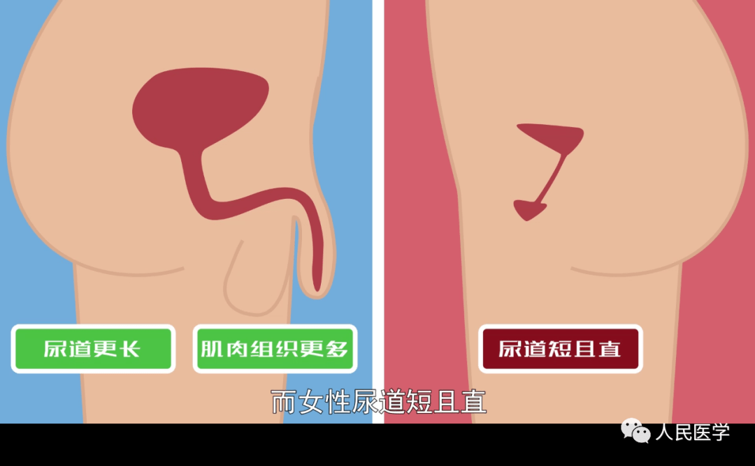 亚洲女厕所小便bbb现象探析-第1张图片