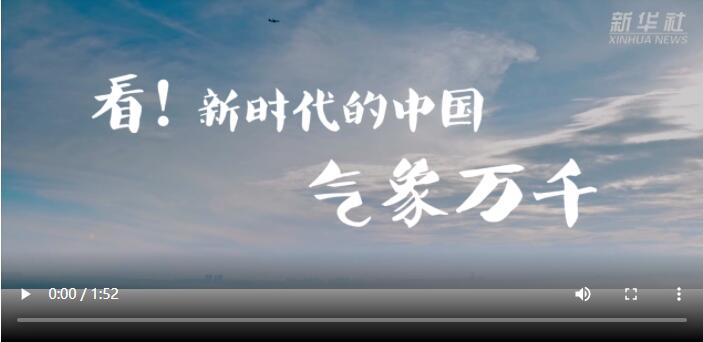 703网703网，网络新时代下的探索与机遇-第1张图片