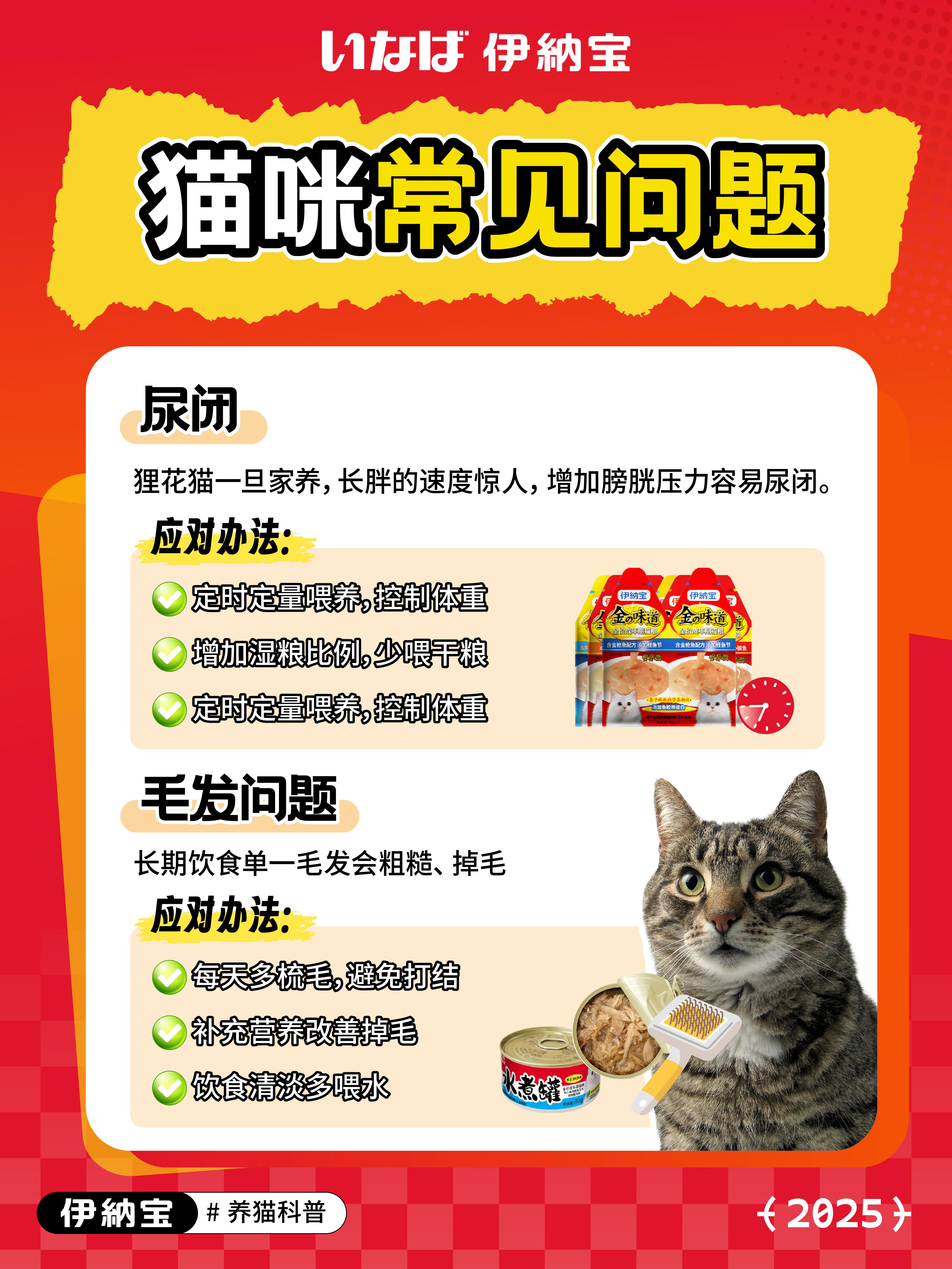 新版猫咪，宠物的未来与变革-第1张图片