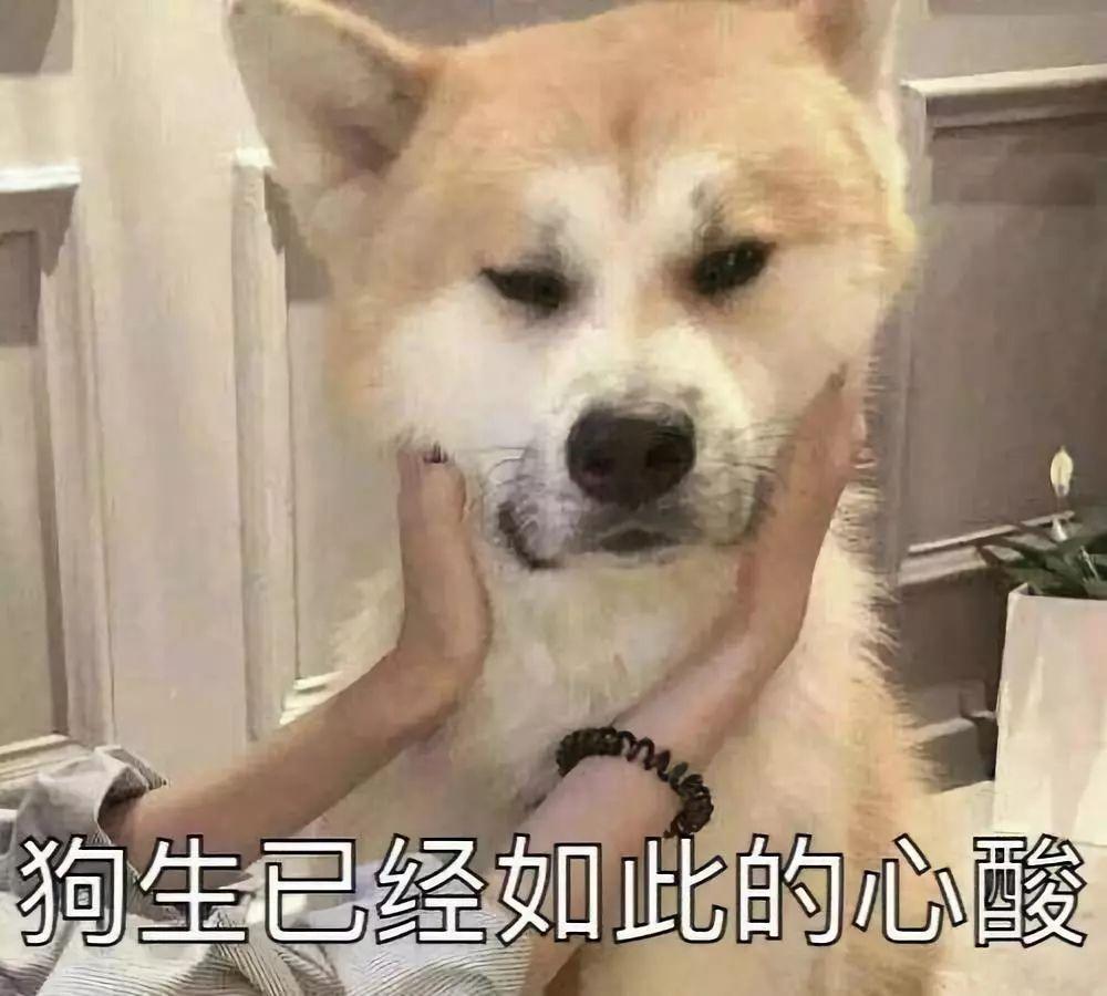 我要打飞矶域名我要打飞华人永久免费，华人权益的崭新篇章-第1张图片