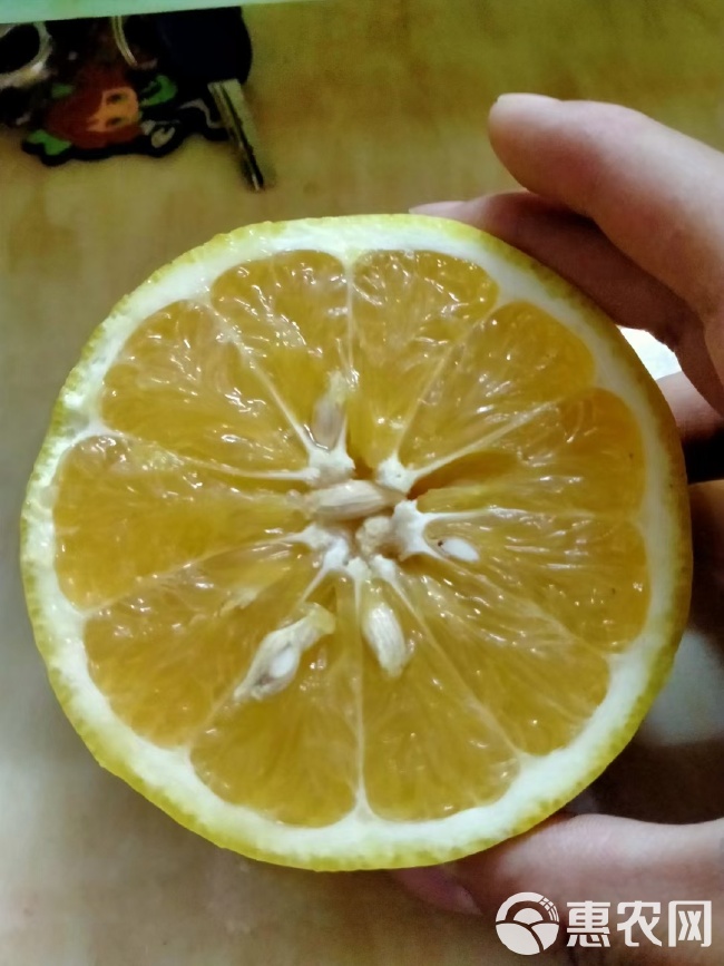 蜜柚在线观看免费版高清蜜柚在线观看免费版高清文章