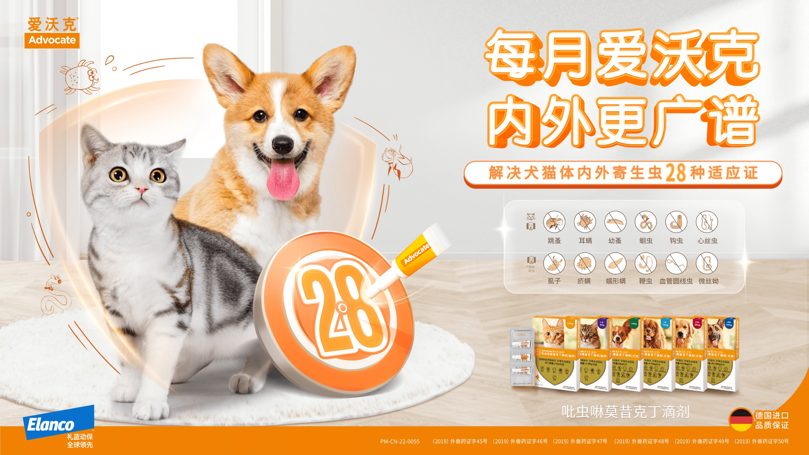 猫扑健康两姓故事猫扑健康，守护宠物健康的新篇章-第3张图片