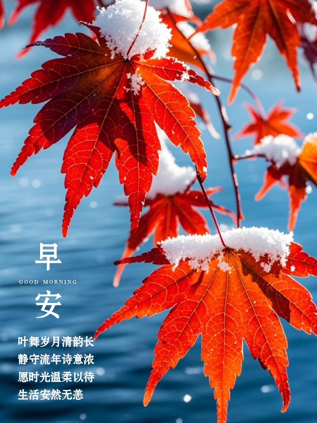 8月最好的黄道吉日探寻8月最佳黄道吉日，开启美好新篇章