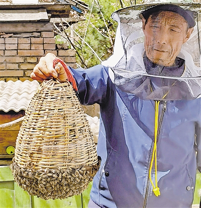 固原呱呱网 倪万固原呱呱网，探索网络新纪元-第3张图片