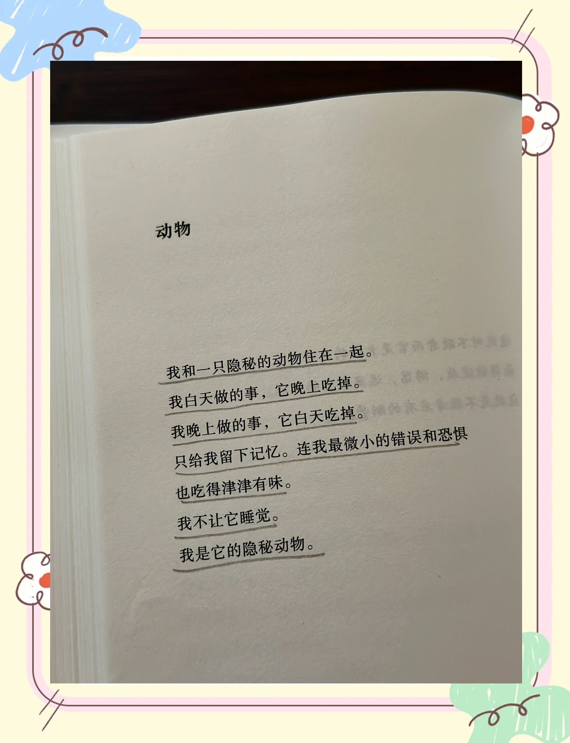 深夜里的温柔守护-第2张图片