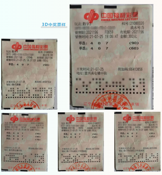 南海彩票论坛，探索彩票新天地-第2张图片