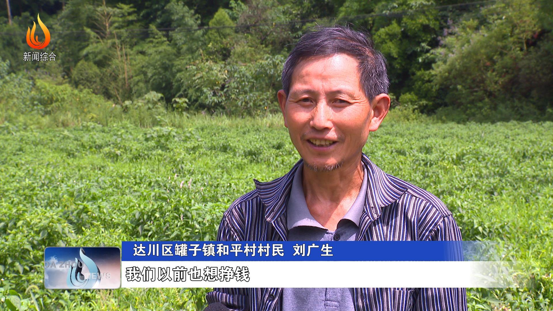 四川达州做什么赚钱四川达州做什么赚钱？
