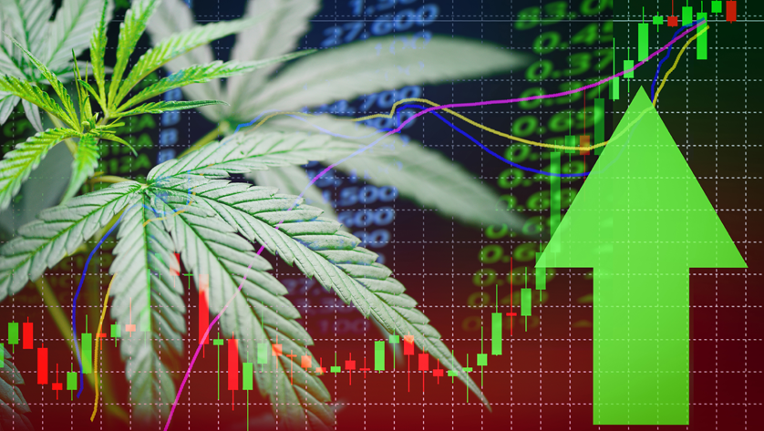 成品网站图片大全关于A片网，诱惑与风险并存-第2张图片