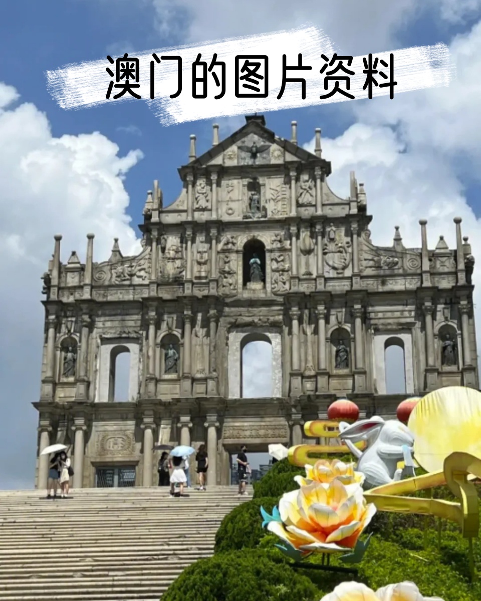 澳门真正最准免费资料-第2张图片