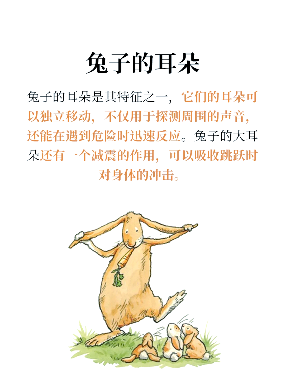 老师的小兔子好大好软水好带老师的小兔子好大好软-第1张图片