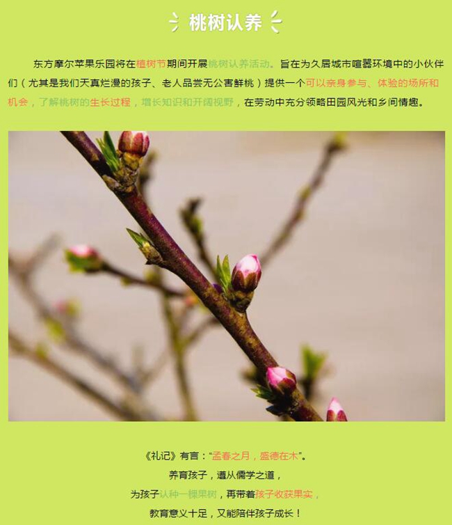 农夫色网址导航，探索农业与网络连接的魅力-第3张图片