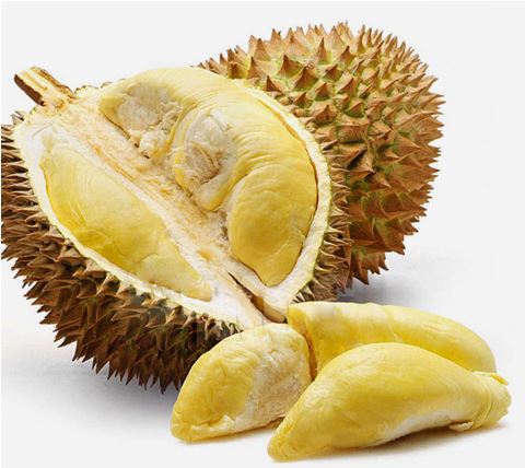 榴莲视频app官网app下载二维码榴莲视频APP网站进入VIPOPPO下载体验