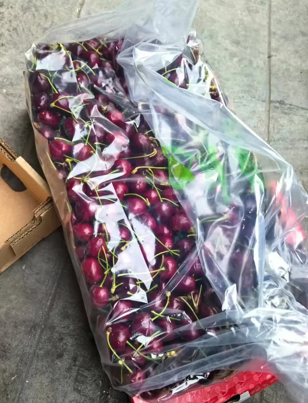 沙王大樱桃品种介绍沙王，神秘的王者-第1张图片
