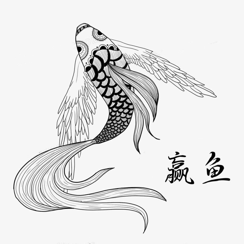 鱼鱼至猾的视频，VK上的警示与反思-第2张图片