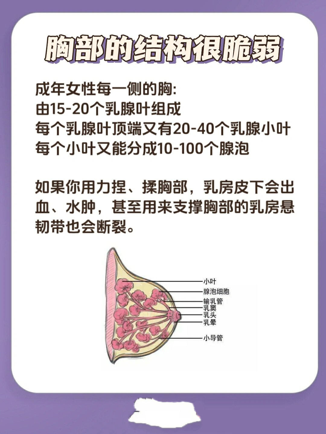 被男人狂揉吃奶胸的高潮-第1张图片