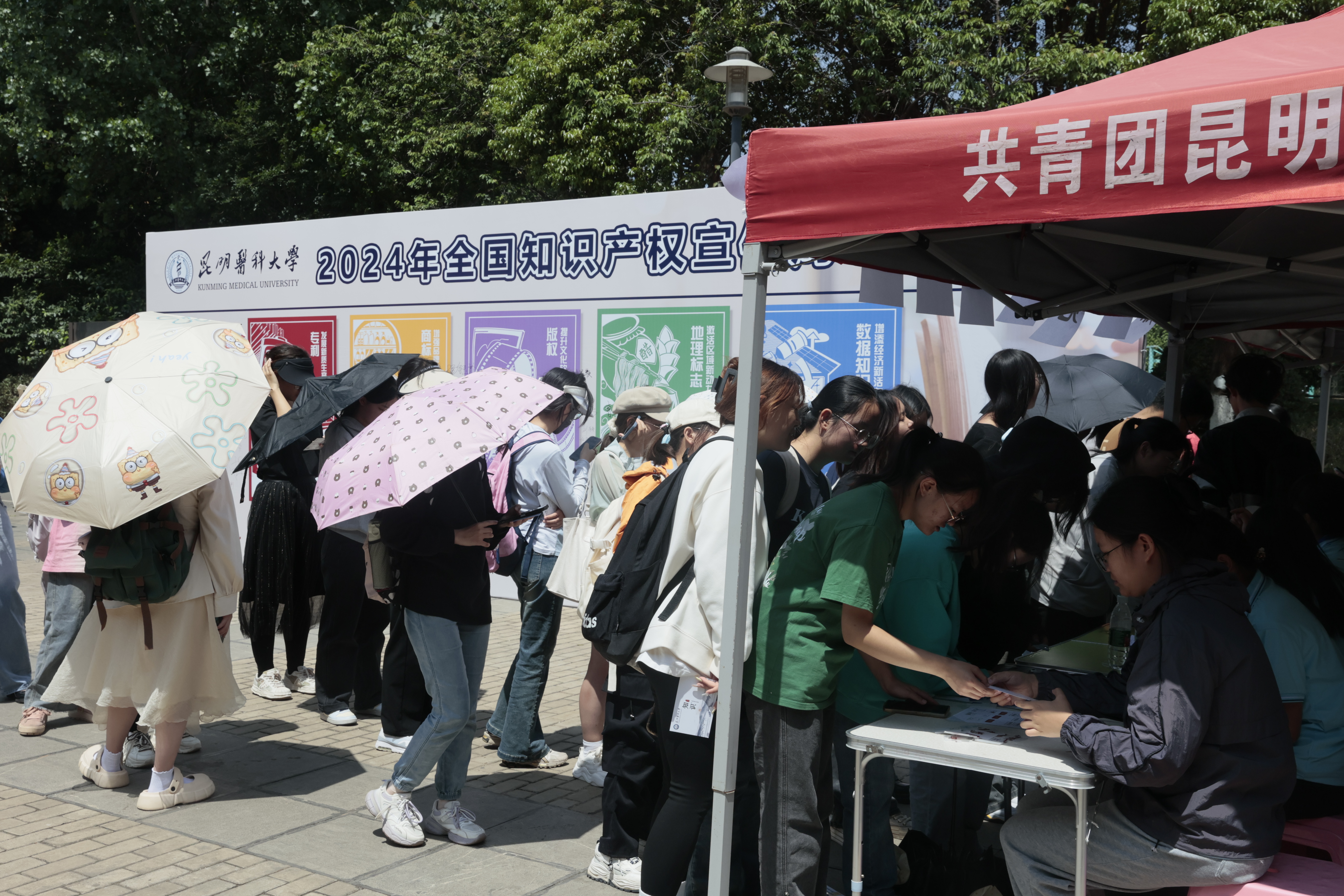 2024全年免费资料公开2024全年免费资料公开，开启知识的大门-第1张图片