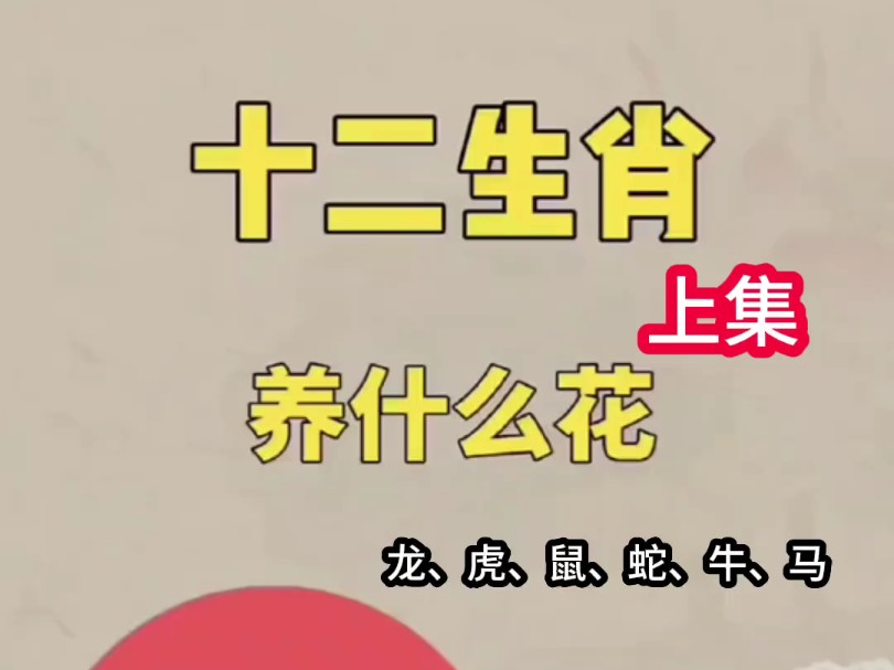 框子是特马是什么生肖?框子是特马是什么生肖-第2张图片
