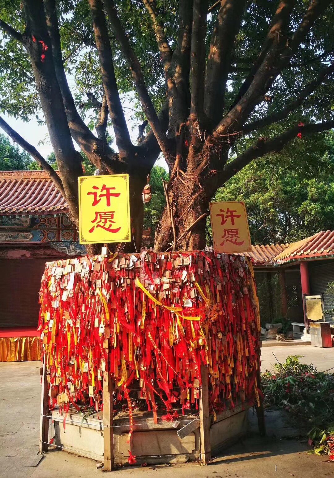 奥门黄大仙一肖一码一肖一码100%中奖——探访澳门黄大仙-第1张图片