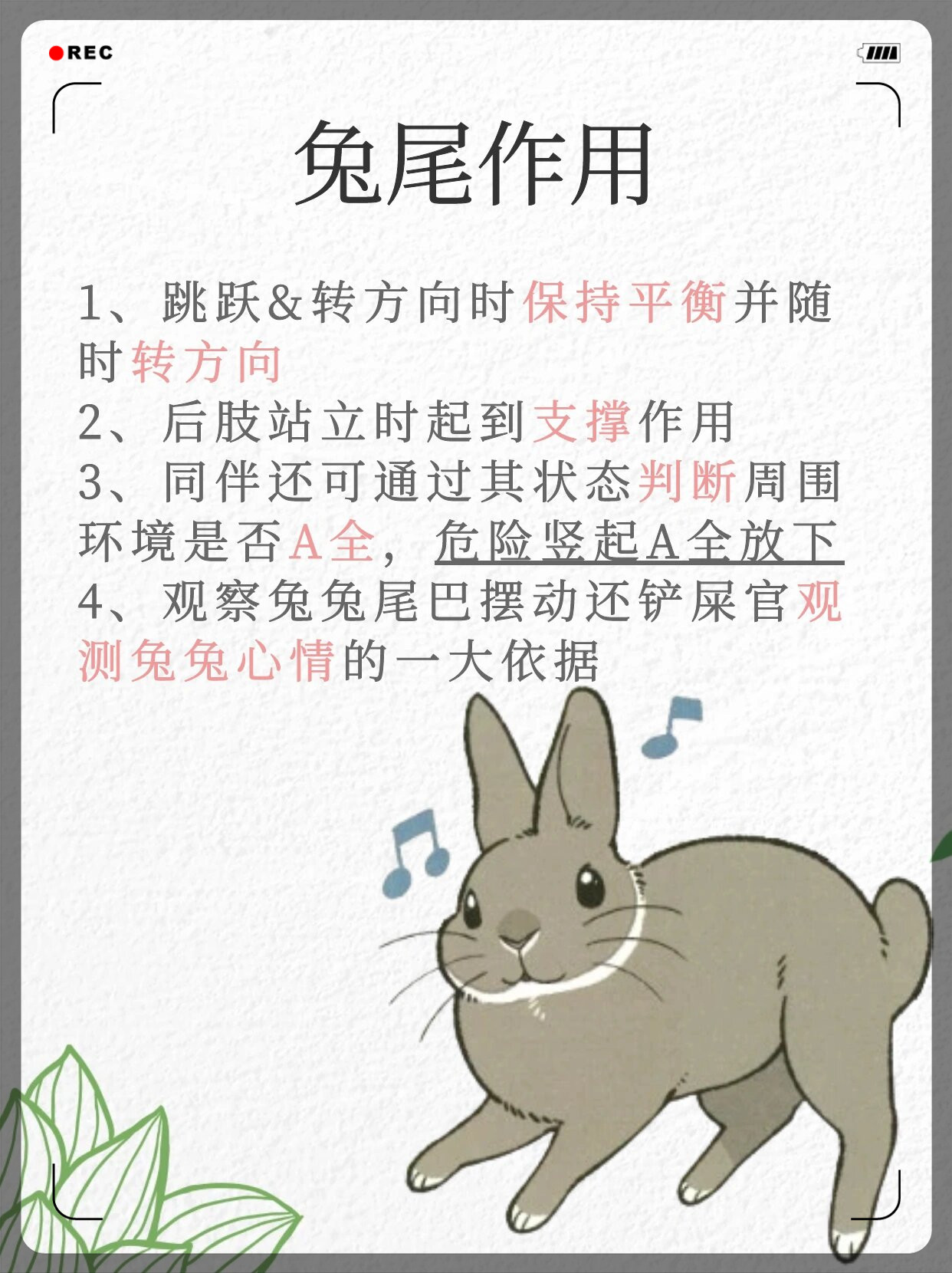 我的兔子好软水好多免费的网站动漫我的兔子好软，免费网站大揭秘