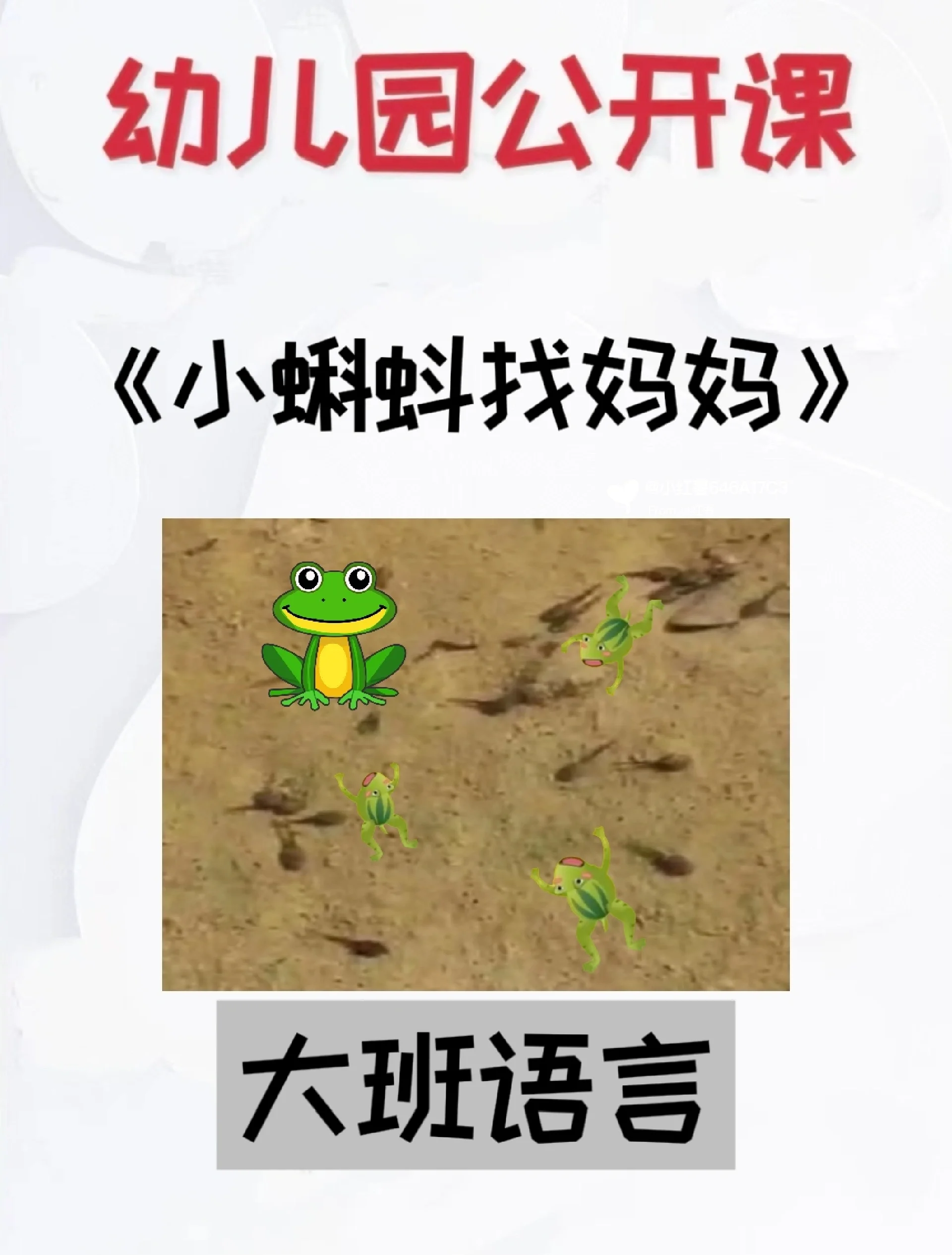 小蝌蚪视频在线观看完整高清免费-第1张图片