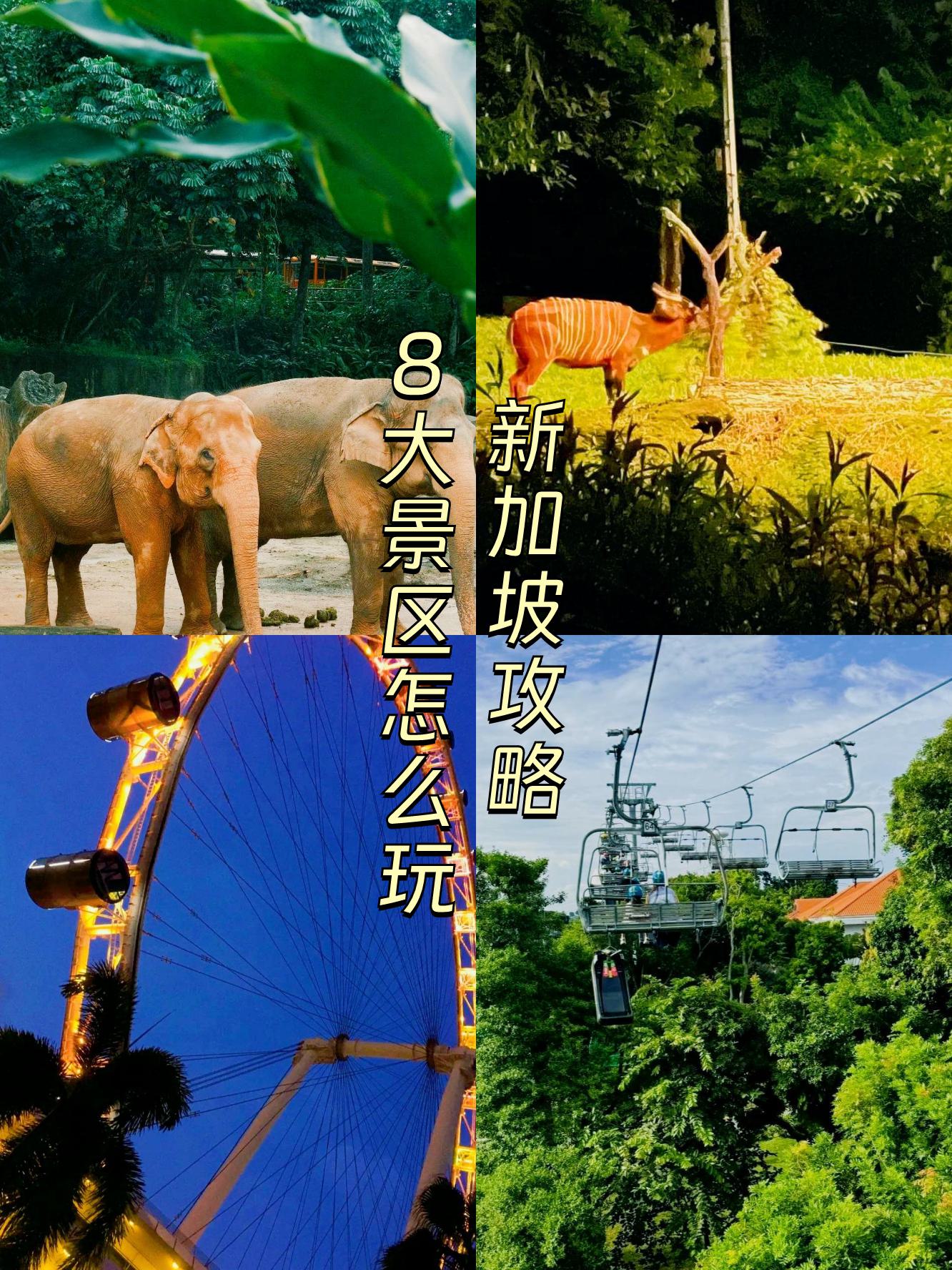 夜间网址探索，探索神秘世界的神秘之地-第1张图片