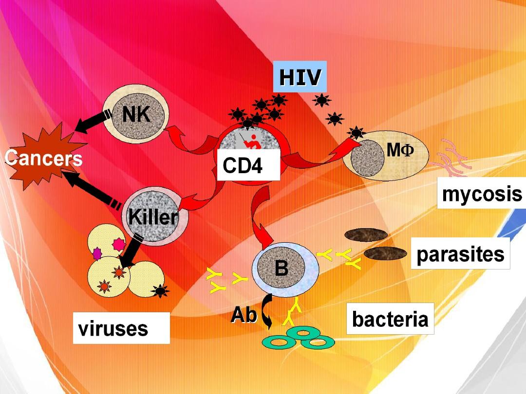 含着不拔出HIV，深入解析HIV感染与健康生活-第3张图片
