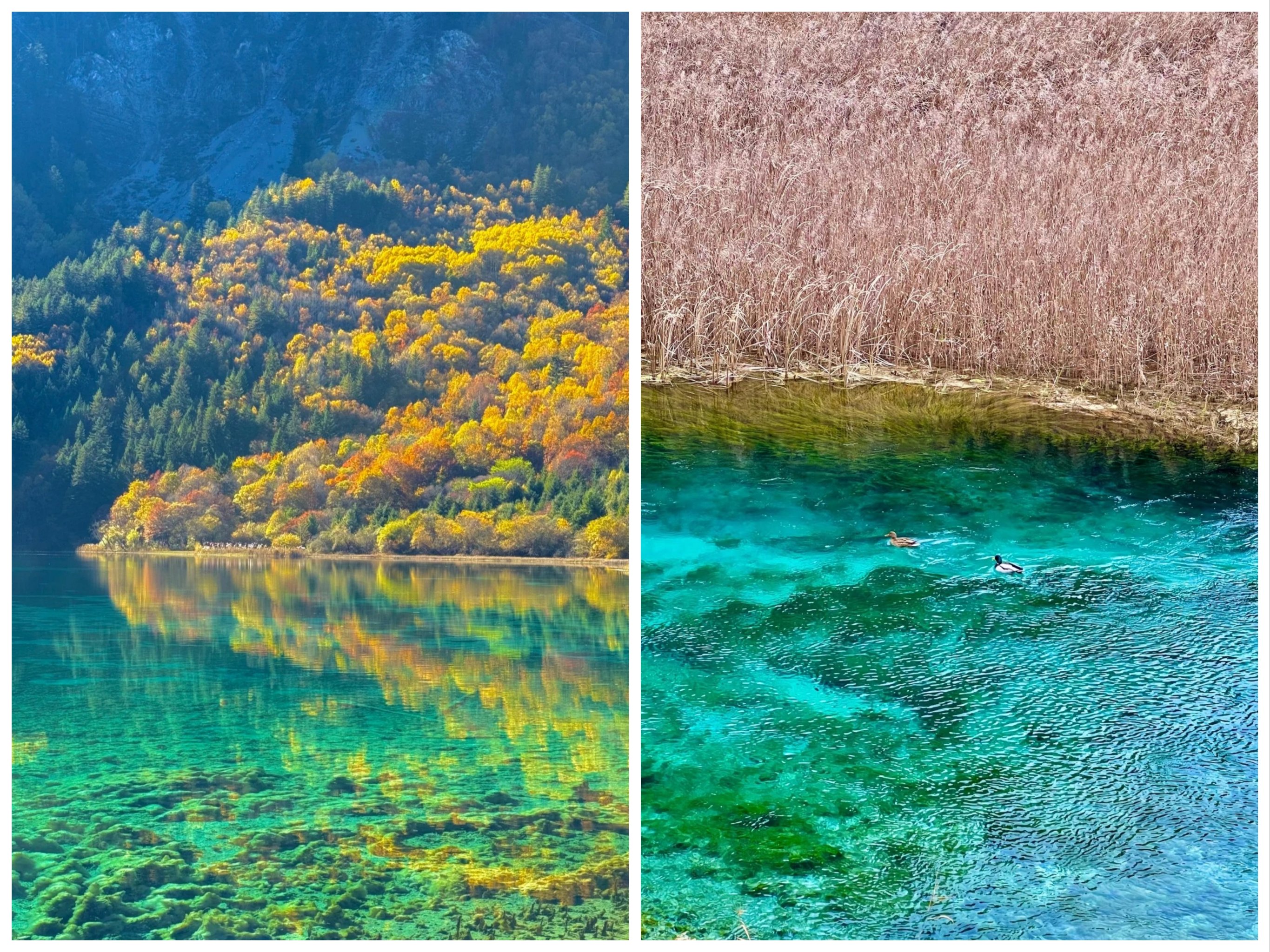 迎接四川第一缕阳光的地方迎接四川第一缕阳光的地方——九寨沟-第2张图片