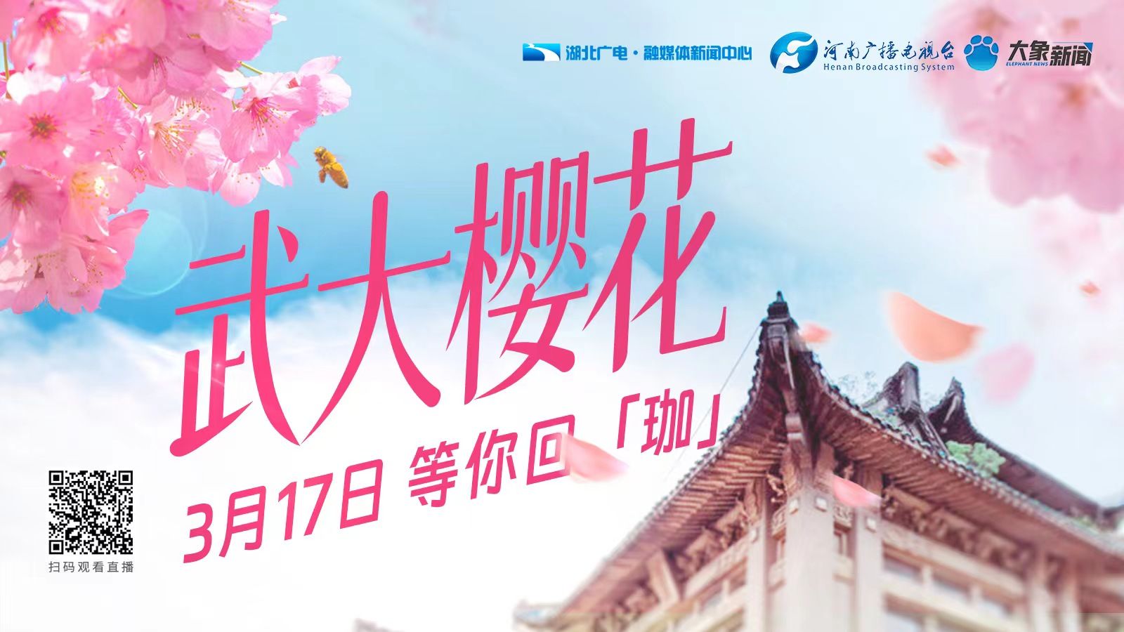 樱花官方正版官网入口2023樱花官方正版官网入口2023-第1张图片