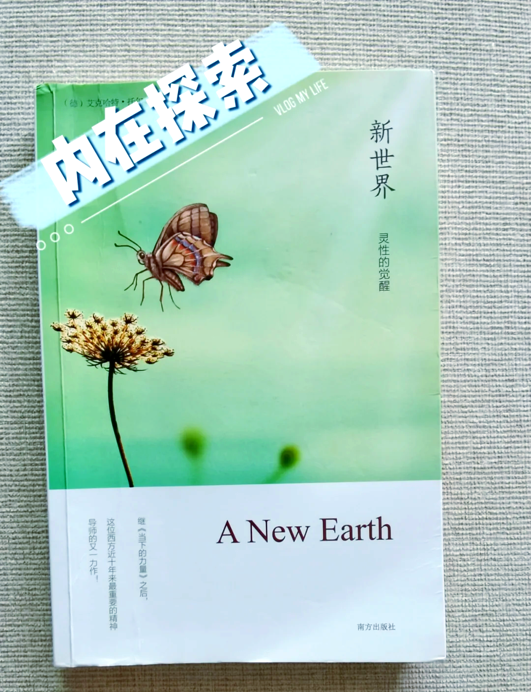 ao3中文网页版AO3中文网页版探索，网络文学的新世界-第1张图片