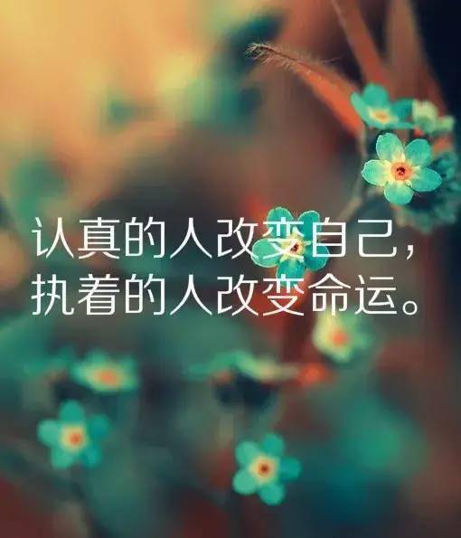 2021不良正能量免费网站推荐-第2张图片