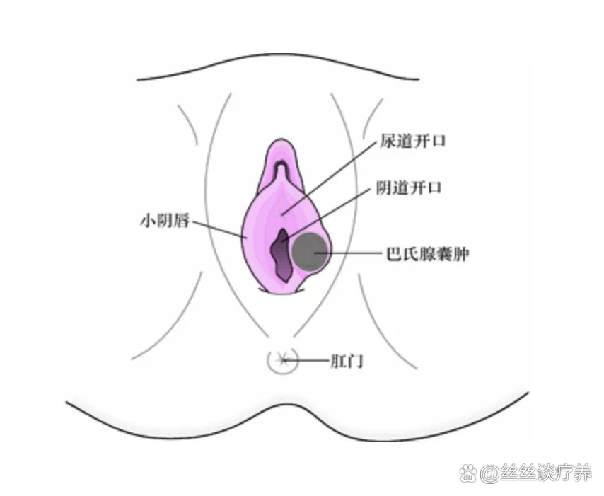 女人没开过包啥样女人巨大荫蒂勃起之美-第2张图片
