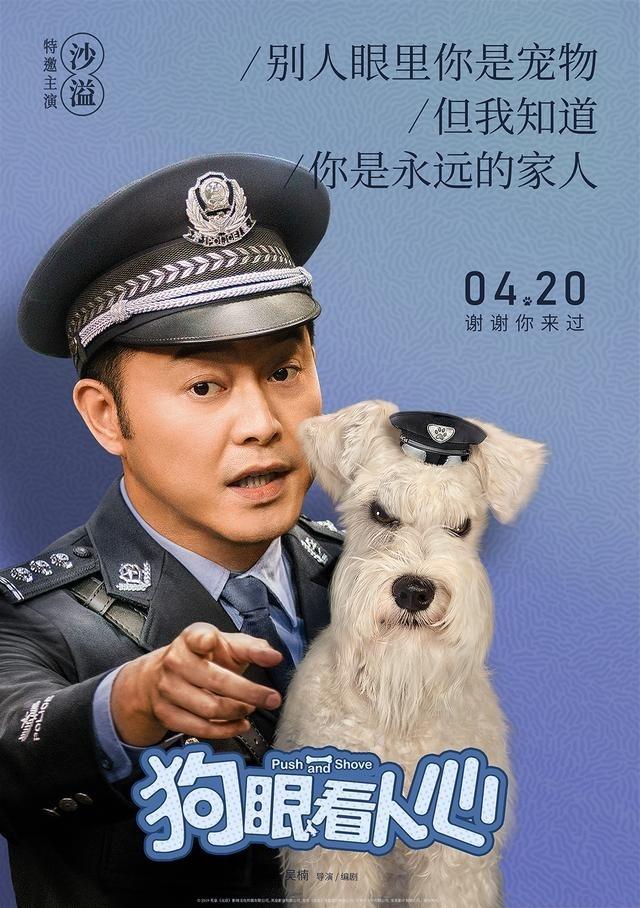 宠物风暴，宠物的世界与人类的情感-第3张图片