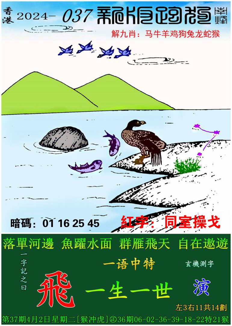 223433管家婆管家婆精准2023，一肖预测与策略-第2张图片