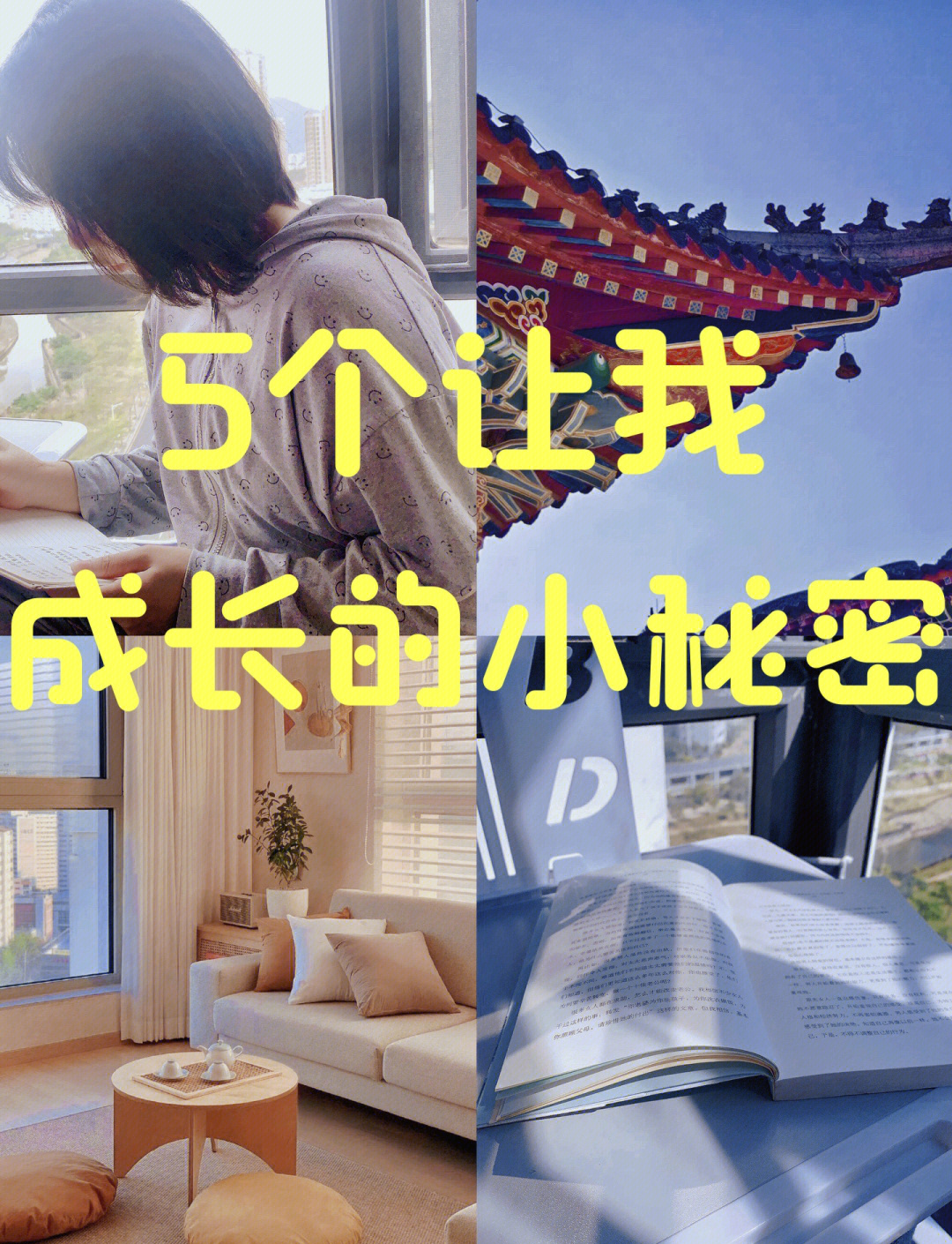 神马三级我不卡，高效学习与成长的秘诀-第1张图片