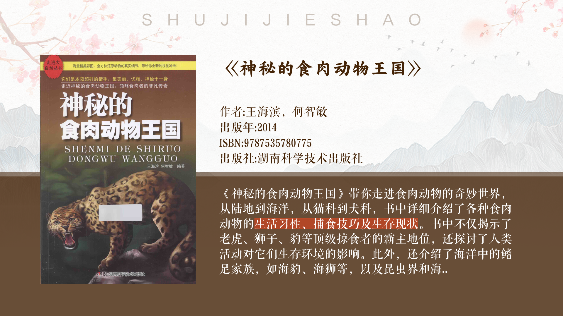 野狼网络科技有限公司野狼网，探索自然界的神秘力量-第1张图片