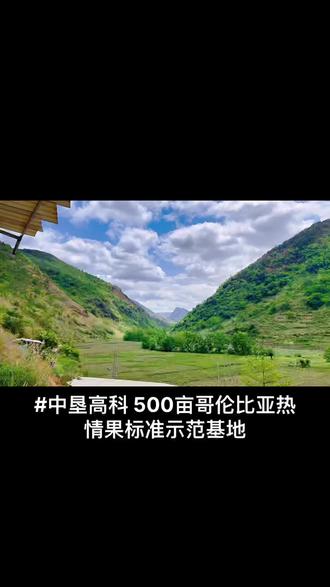 号百控股股票号百控股，引领行业新篇章-第2张图片