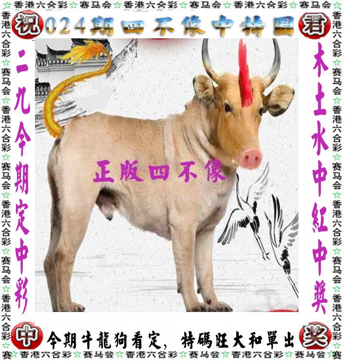 管家婆一肖一码澳门码，2004年的创新与机遇-第2张图片