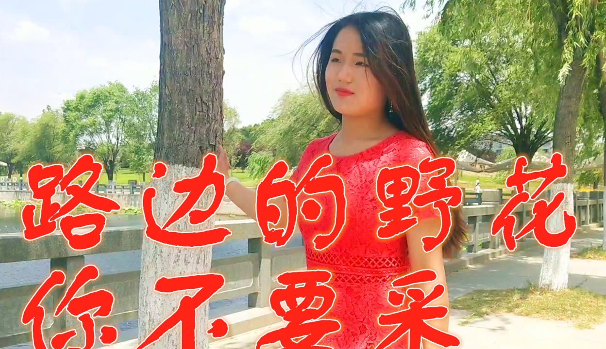 野花社区在线观看免费观看最新3中文字幕1野花社区在线观看免费观看最新3-第2张图片