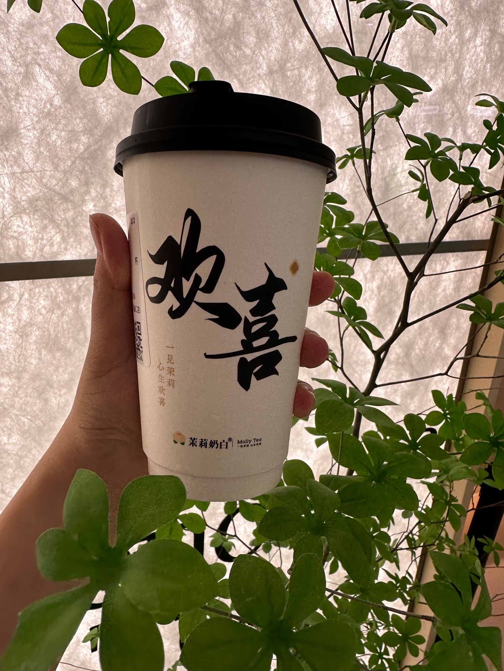 冰度娱乐，引领娱乐新风潮-第1张图片