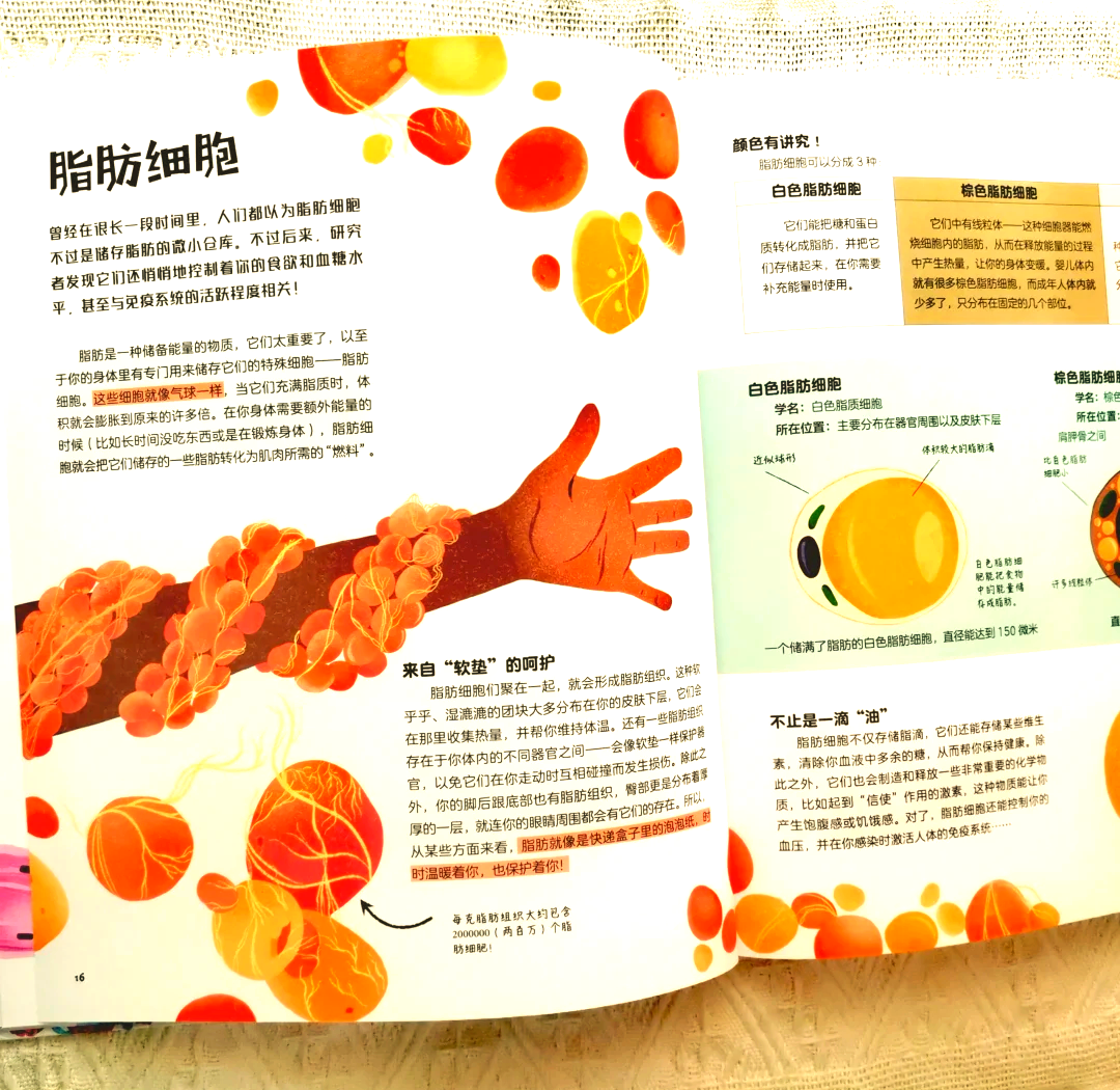 gogo人体，探索身体奥秘的新纪元-第3张图片