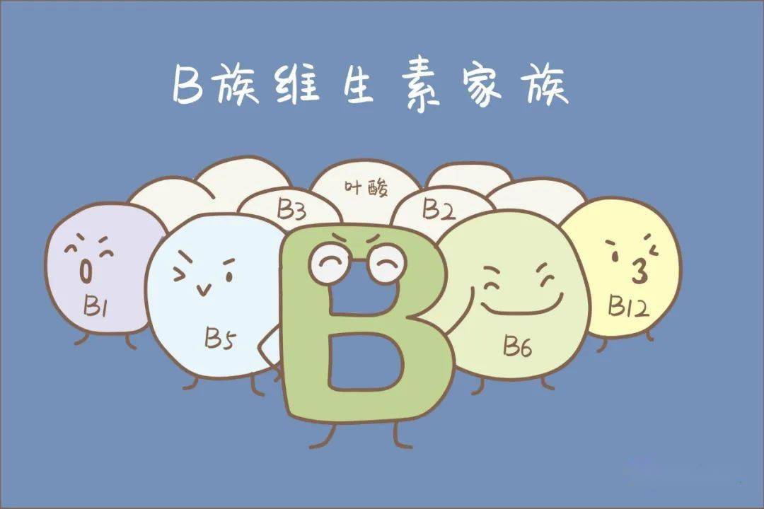 b与b不同区别图片B与B的不同区别-第3张图片