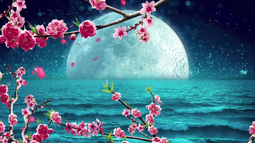 桃花视频免费观看完整版高清全文-第2张图片