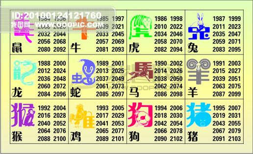 丢三落四是什么生肖-第3张图片